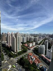 Irwell Hill Residences (D9), Apartment #451088421